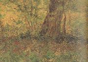 Vincent Van Gogh Undergrowth (nn04) Spain oil painting artist